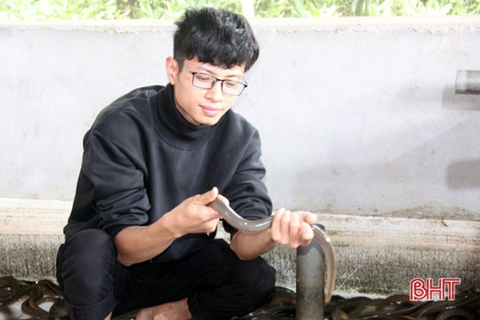 Nuôi lươn không bùn